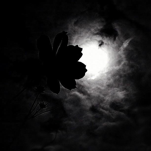 Blackandwhite Photograph - May You Rest In Peace My Dear by Christina Pabustan