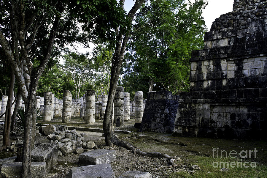 Mayan Colonnade two Photograph by Ken Frischkorn
