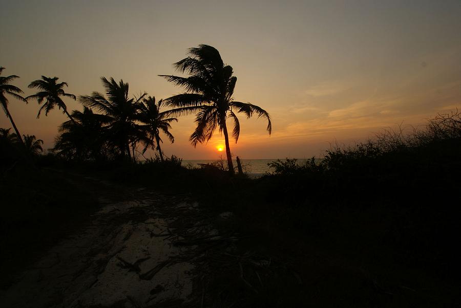Mexico Photograph - Mayan Paradise by Christy Leigh Mexico Photograph - Mayan Paradise by Christy Leigh