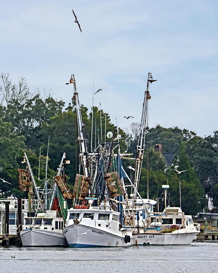 McClellanville Shrimpers Photograph by Terry Shoemaker