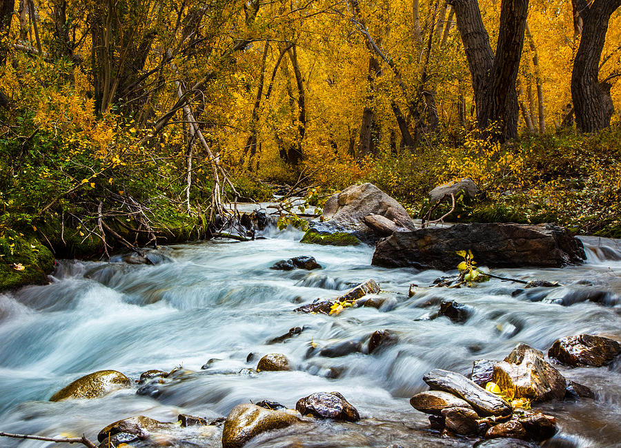 McGee Creek Fall Splendor Photograph by Jim Ross - Fine Art America