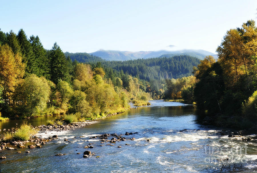 McKenzie River  Photograph by Mindy Bench