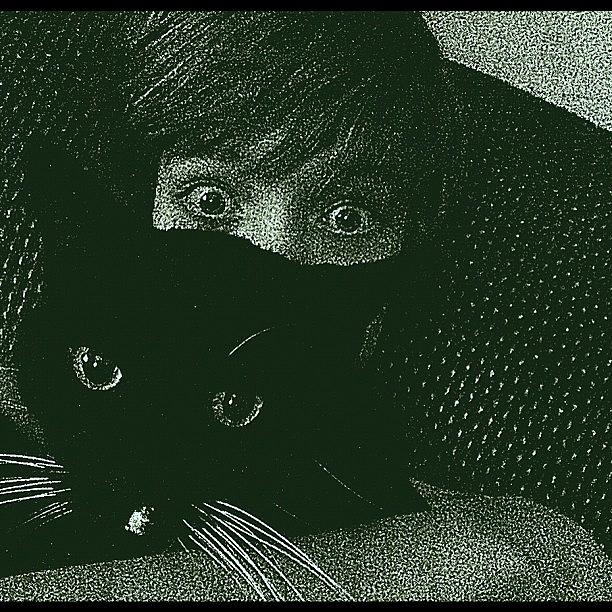 Cat Photograph - Me And My Human Being Silly @mrgcat99 by Cody The Cat