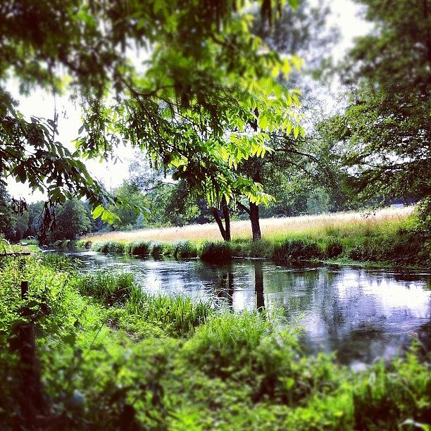 Nature Photograph - Meandering The Water Meadows by Chloe Stickland