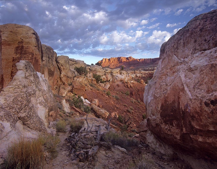 Meeks Mesa Capitol Reef National Park Photograph by Tim Fitzharris