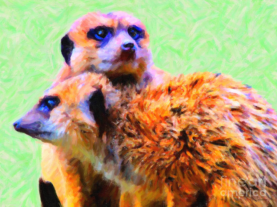 Meerkats . 7D4176 Photograph by Wingsdomain Art and Photography