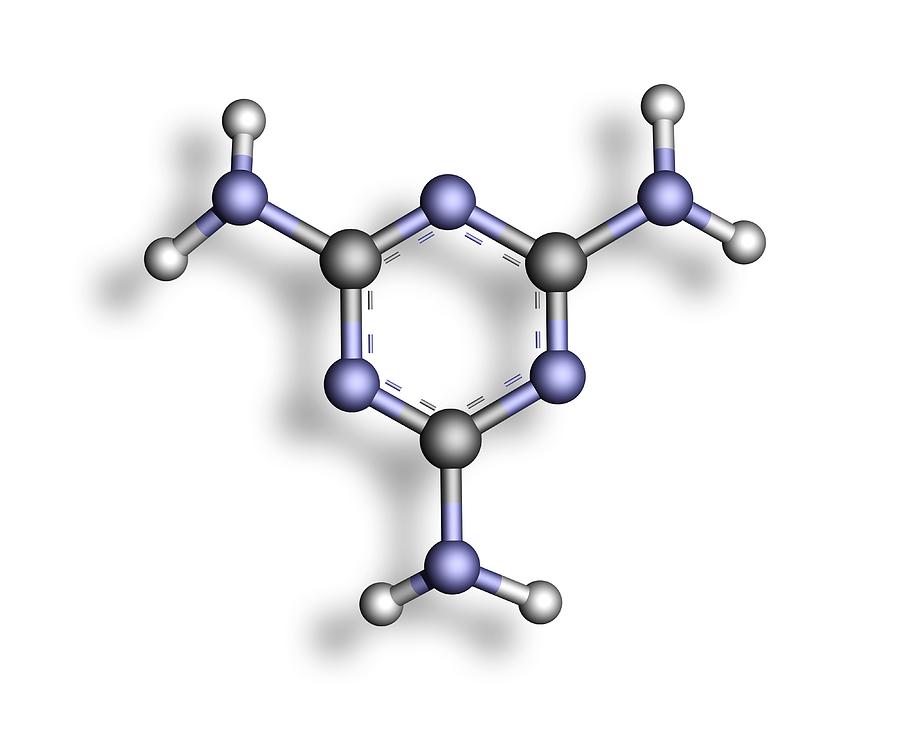 Melamine Photograph - Melamine, Molecular Model by Pasieka
