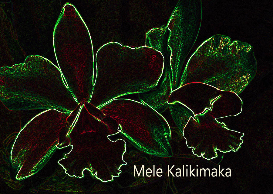 Mele Kalikimaka - Merry Christmas From Hawaii Digital Art by Kerri Ligatich