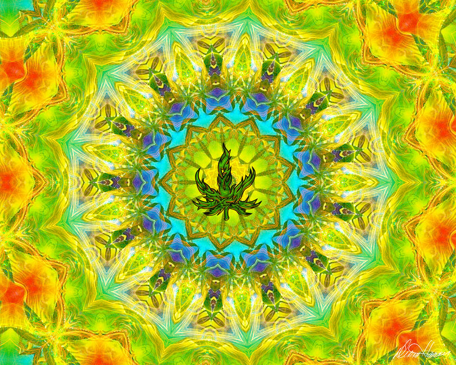 Mellow Yellow Mandala Digital Art by Diana Haronis