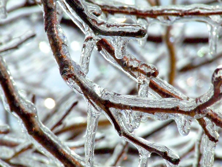 Melting Ice Photograph by Diane Corey | Fine Art America