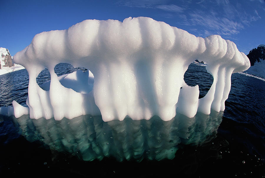 Melting Shard Of An Iceberg, Bergy Bit Photograph by Colin Monteath