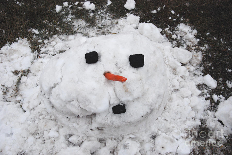 Melting Snowman Photograph by Grace Grogan