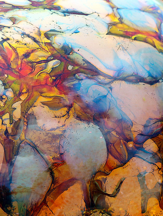 Memory Photograph by Elizabeth Hart - Fine Art America