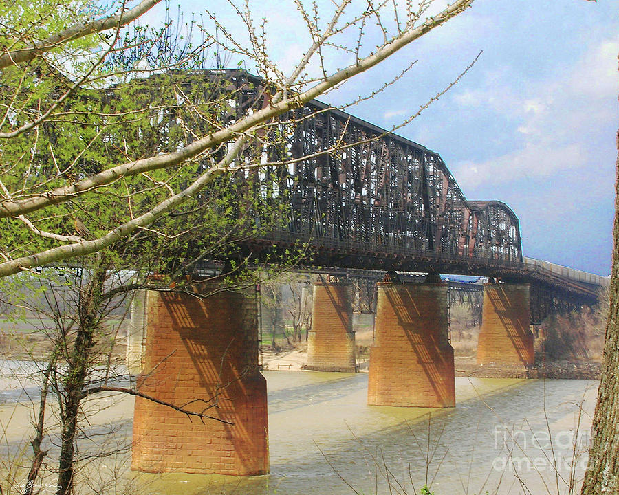 Memphis Bridges Photograph by Lizi Beard-Ward