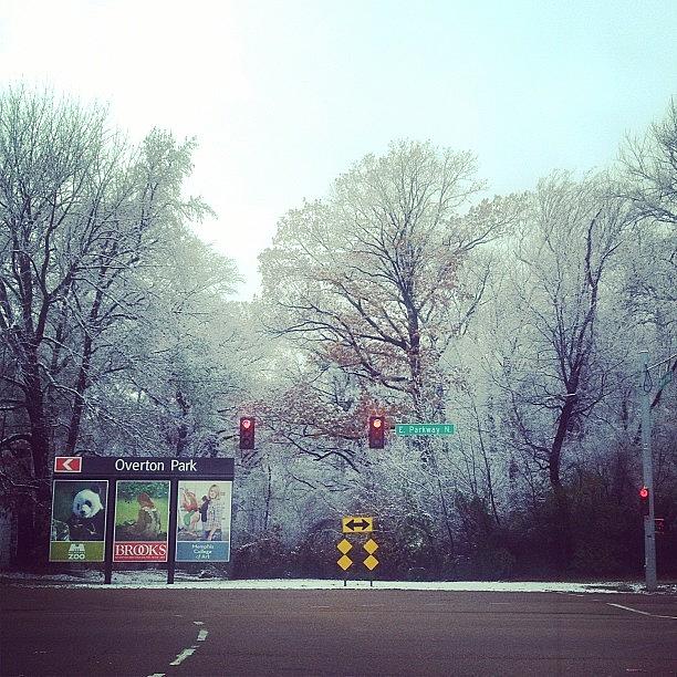 Memphis Photograph - #memphis #snow #midtown #midsouth_igers by Elizabeth Fitzgerald