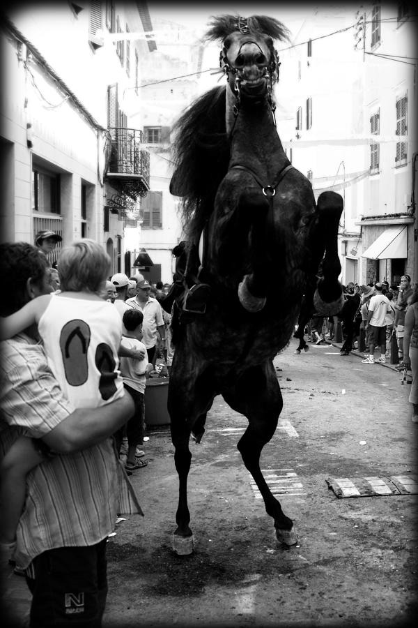 Menorca Horse 3 Photograph by Pedro Cardona Llambias