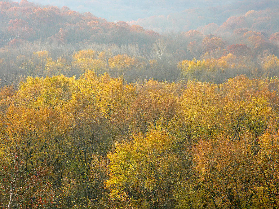 Meramec River Valley Autumn At Castlewood State Park In Missouri 