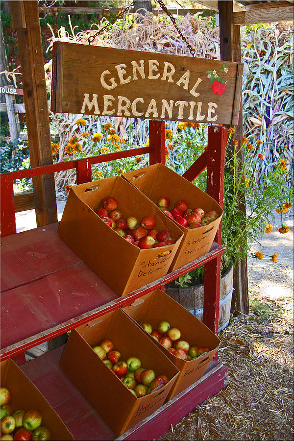 Fall Photograph - Mercantile by Chet King