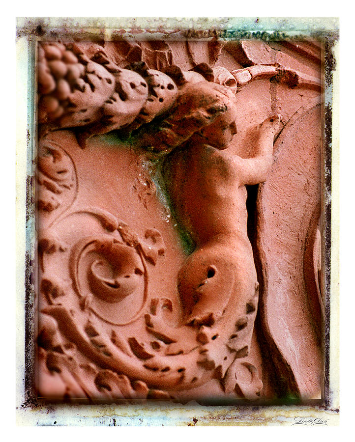 Mermaid Back Carving Photograph by Linda Olsen