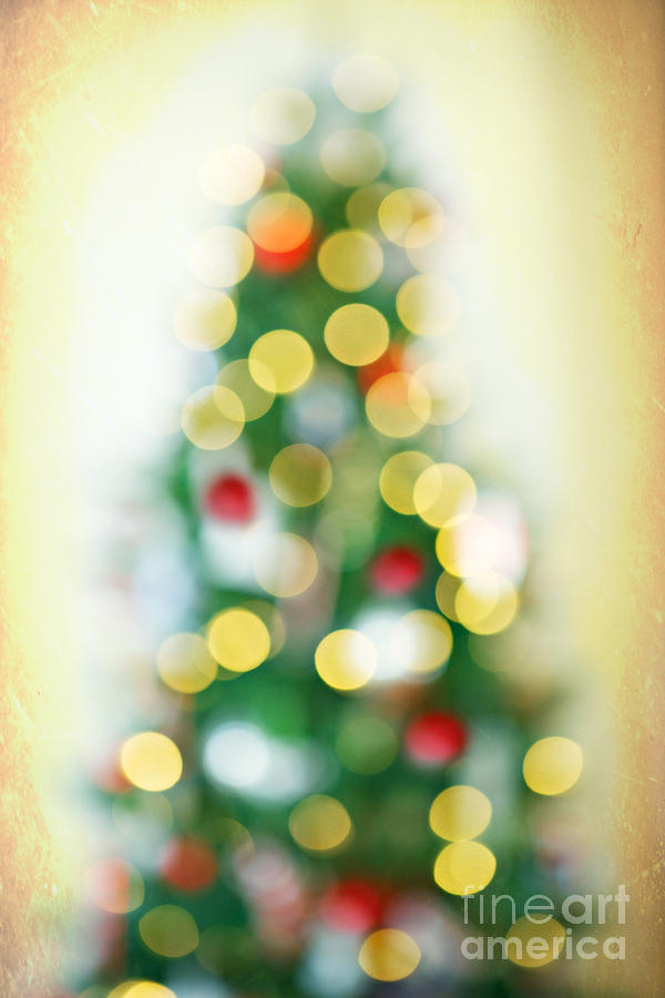 Christmas Photograph - Merry and Bright by Kim Fearheiley