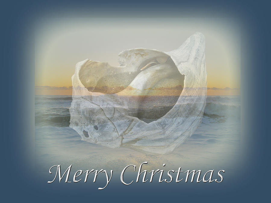 Merry Christmas Card - Seashell and Surf Photograph by Carol Senske