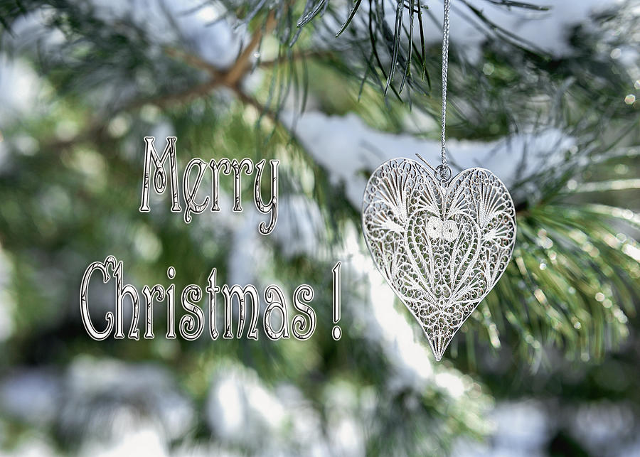 Merry Christmas Card with Heart ornament on snowy tree Photograph by Marianne Campolongo