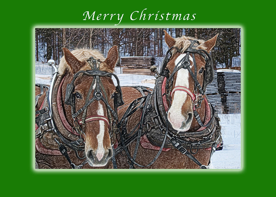 Merry Christmas Horses at Sawmill Photograph by Michael Peychich