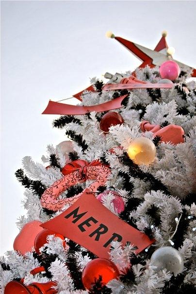 Tree Photograph - Merry Christmas Tree by Lori Leigh