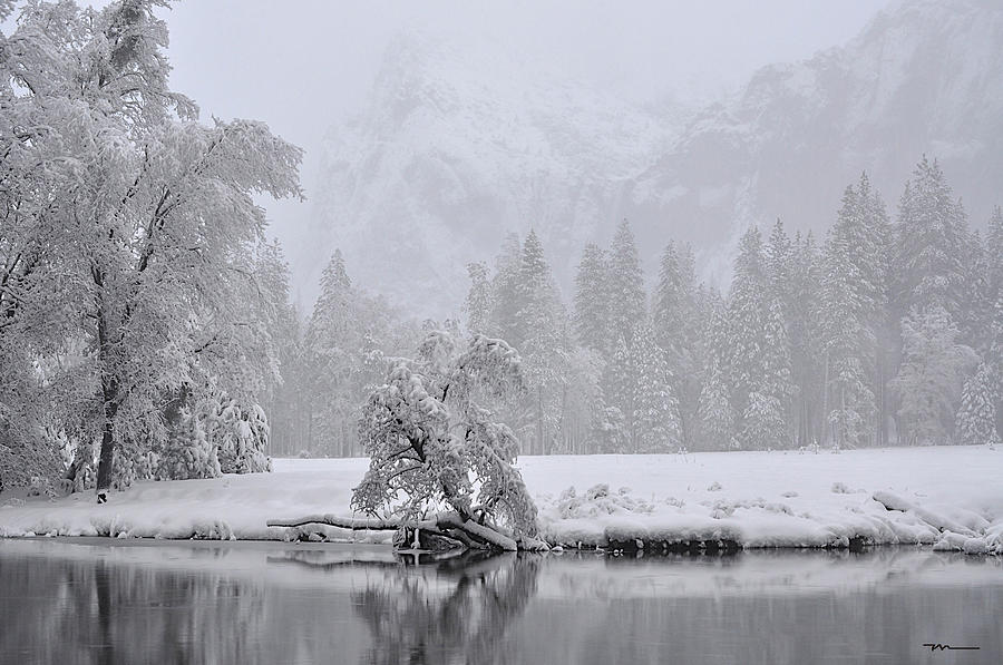 Mersed River Yosemite National Park California Photograph by Marsha Williamson Mohr