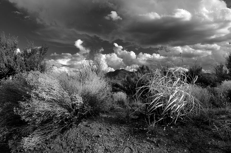 Mesa Dreams Photograph by Ron Cline