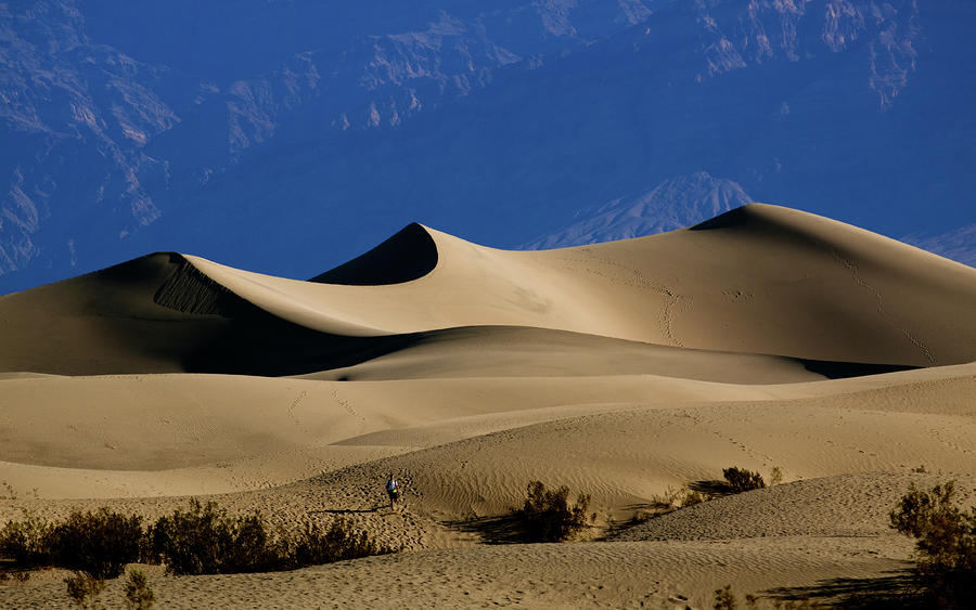 Mesquite Dunes at Death Valley Photograph by Levin Rodriguez