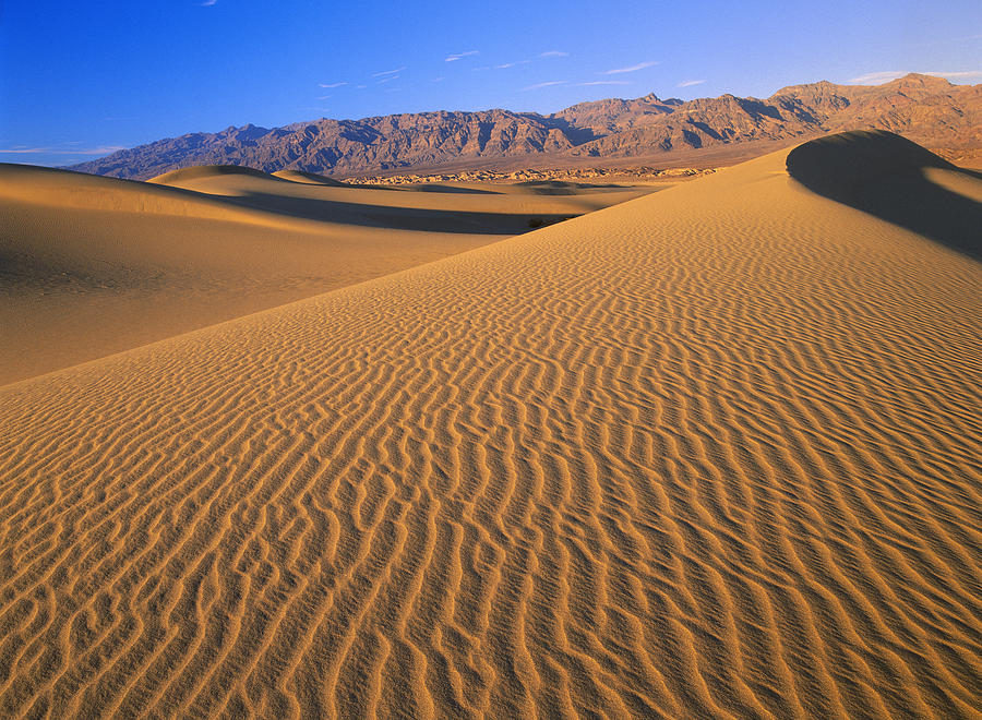 Mesquite Flat Sand Dunes Death Valley Photograph by Tim Fitzharris