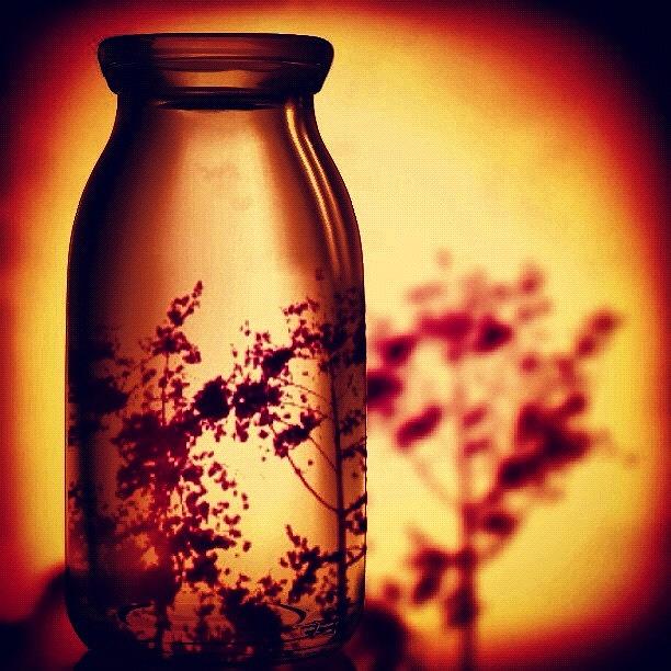 Vintage Photograph - #message In A #bottle 🍶😊🍶 by Liana Gunawan