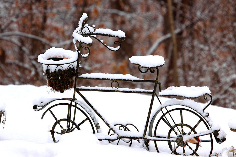 Metal Bicycle in Snow Photograph by PJQandFriends Photography