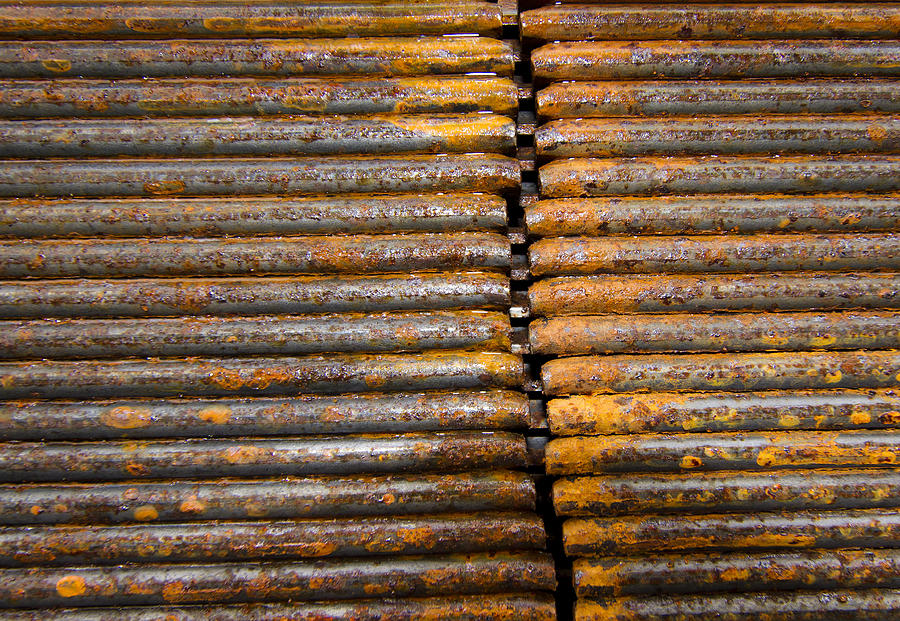 Rusty Rebar Roundup Photograph by Jean Noren