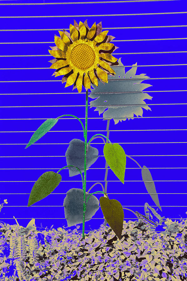 Metal Sunflower Digital Art by James Steele
