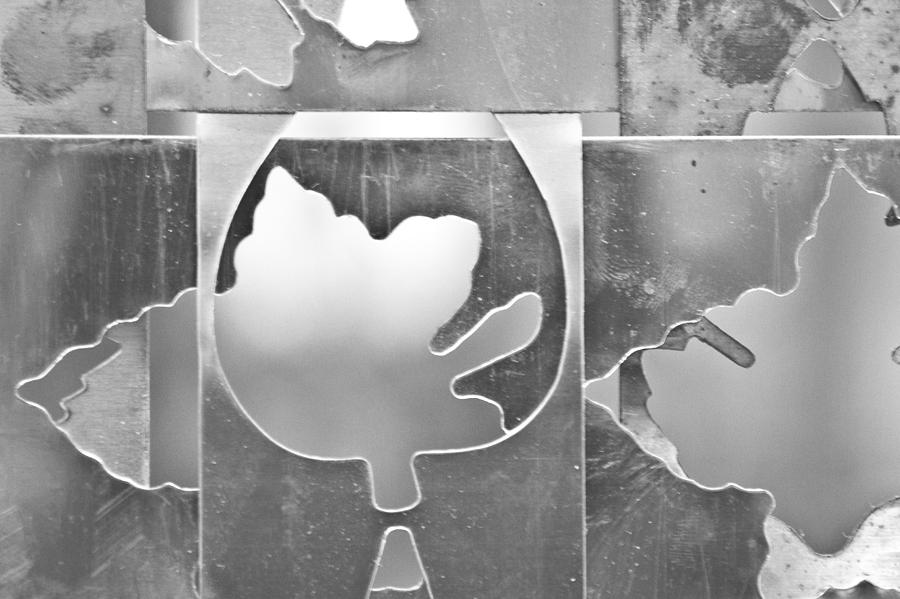Metallic Photograph - Metallic by Milan Kalkan Metallic Photograph - Metallic by Milan Kalkan
