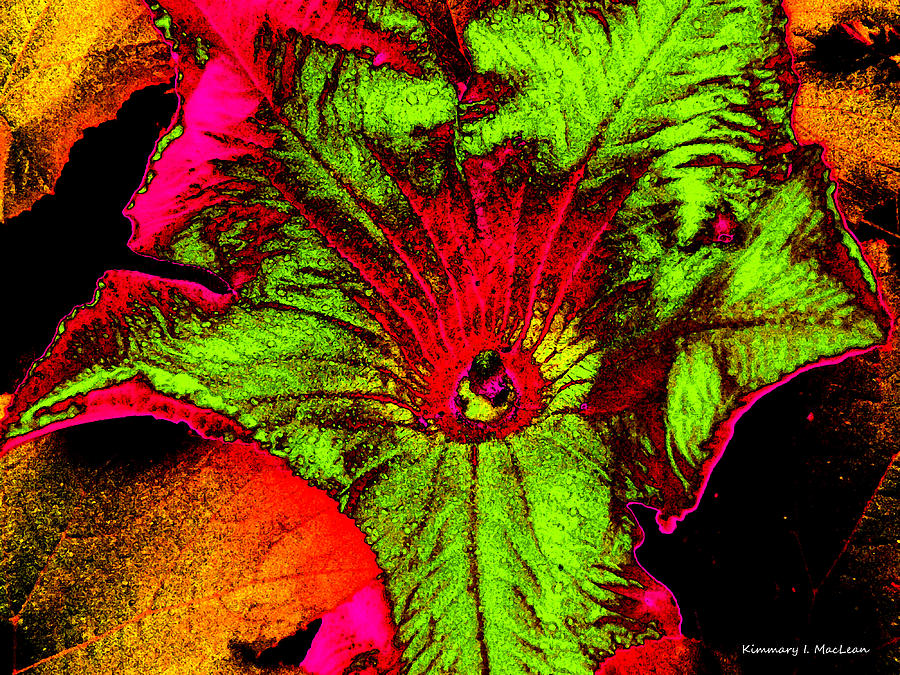 Metallic Pumpkin Flower Digital Art by Kimmary MacLean