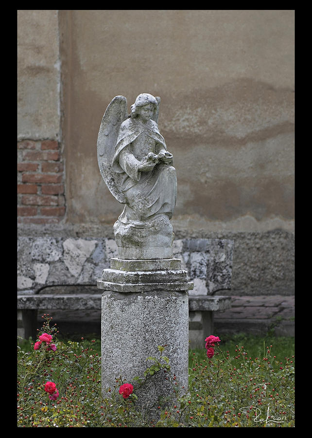 Metropolitan Angel  card Photograph by Raffaella Lunelli