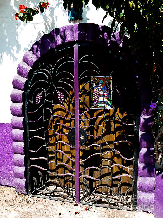 Mexican Door 13 Photograph by Xueling Zou