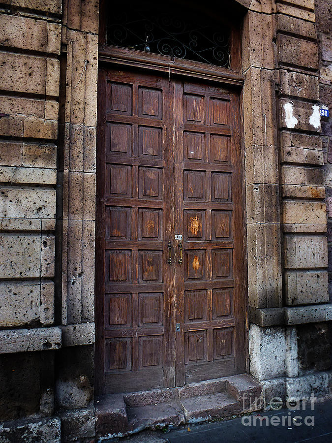 Mexican Door 41 Photograph by Xueling Zou