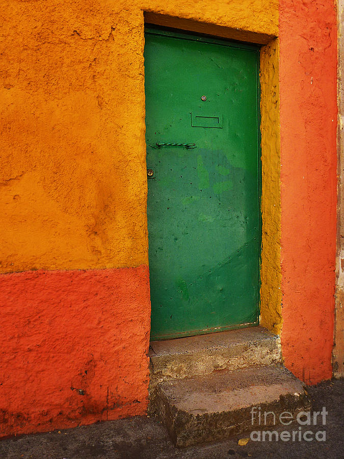Mexican Door 46 Photograph by Xueling Zou