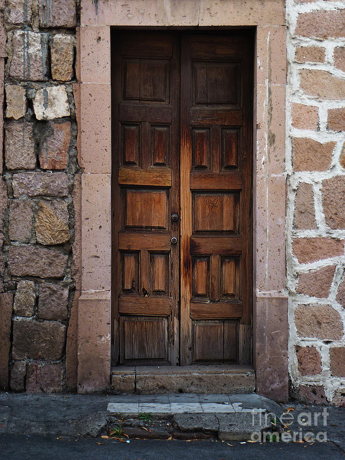 Mexican Door 50 Photograph by Xueling Zou