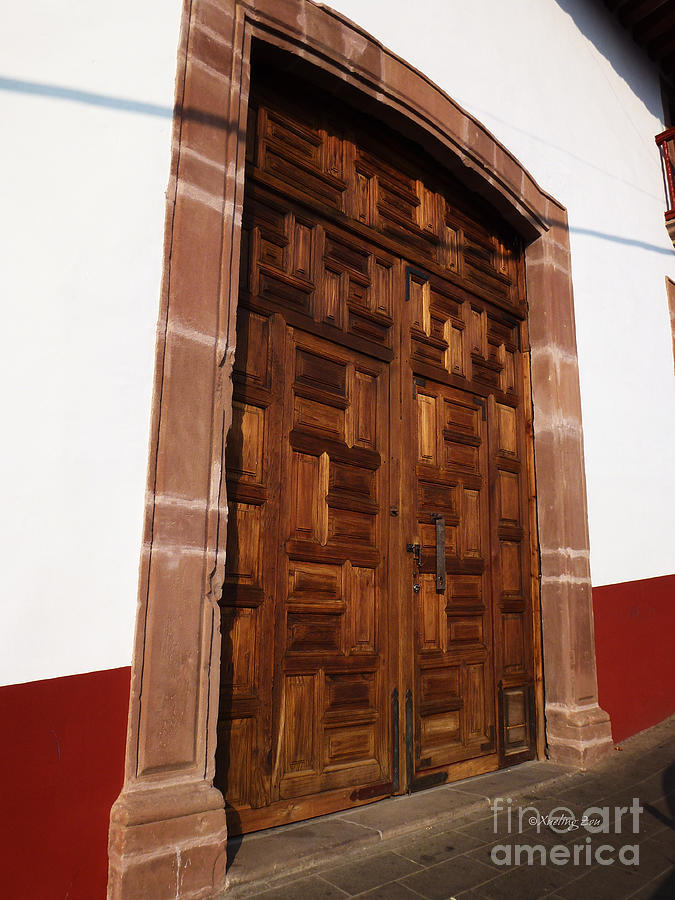 Mexican Door 61 Photograph by Xueling Zou