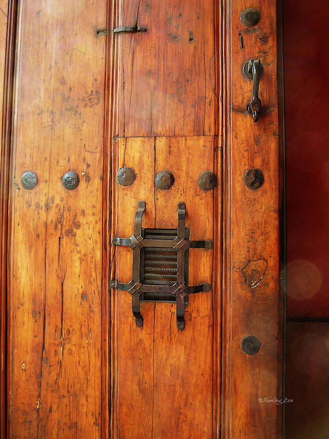 Mexican Door Decor 10  Photograph by Xueling Zou