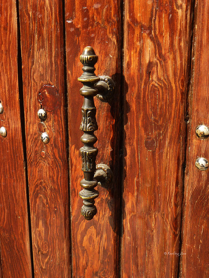 Mexican Door Decor 11 Photograph by Xueling Zou