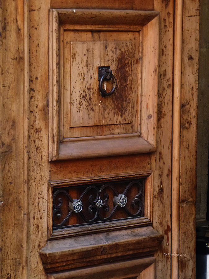 Mexican Door Decor 5  Photograph by Xueling Zou