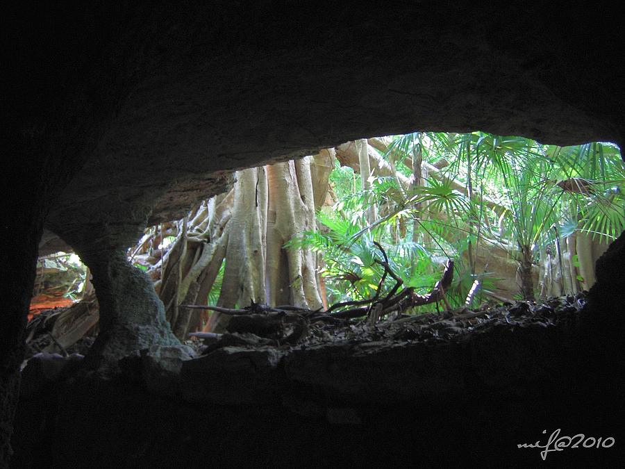 Mexican Underground Cave View  Photograph by Maciek Froncisz