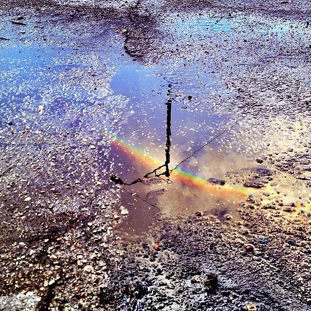 Up Movie Photograph - #miami #reflection #rainbow by Artist Mind