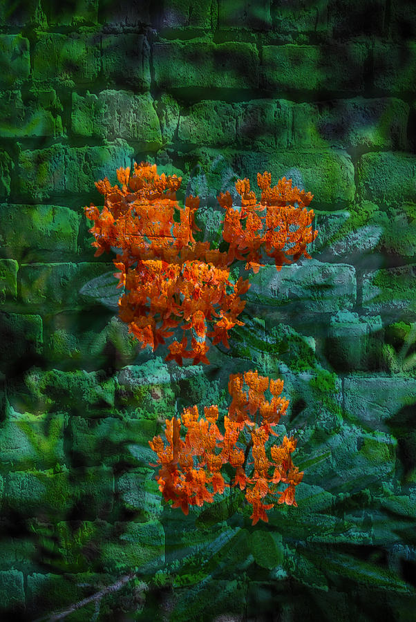 Mickey Brick Flowers Mixed Media by Eric Liller